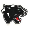 Panther Mascot 1
